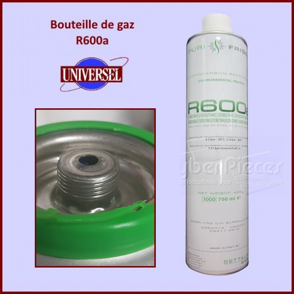 R600A Bouteille de gaz 420Gr